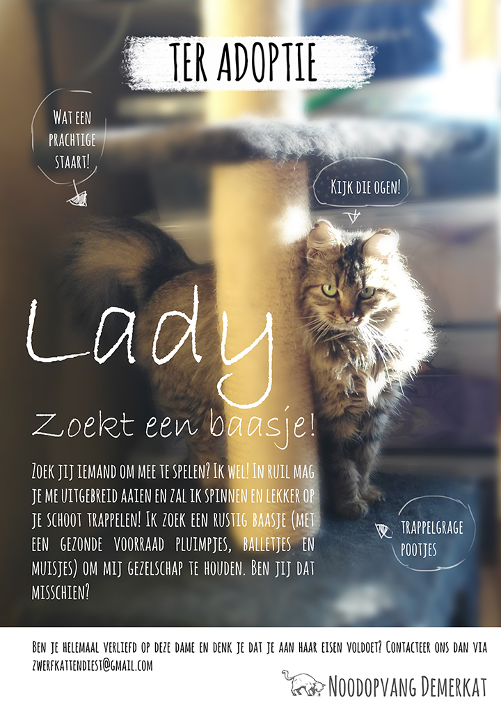 lady_poster