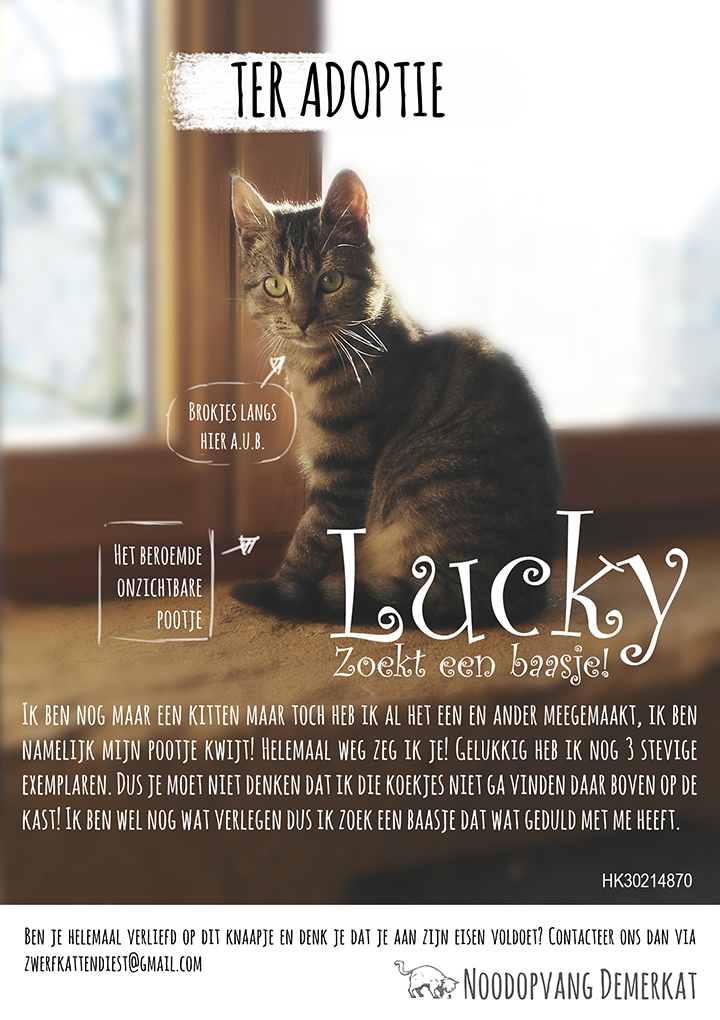lucky_poster